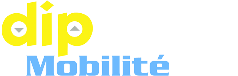 Conception et pose de chaise monte-escalier  Toulouse  Dip mobilité  